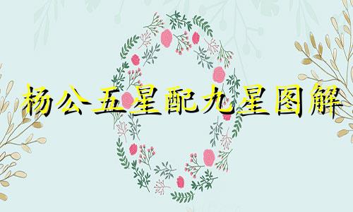 杨公五星配九星图解 杨公五行口诀