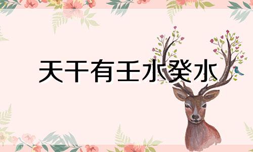 天干有壬水癸水 壬水,癸水