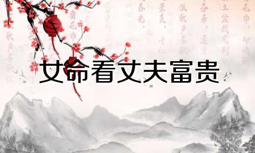 女命看丈夫富贵 丈夫是贵人的女命八字