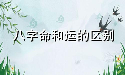 八字命和运的区别 八字和运哪个重要