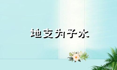 地支为子水 地支子水的物象