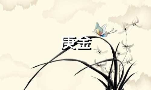 庚金 辛金 区别 庚辛金代表