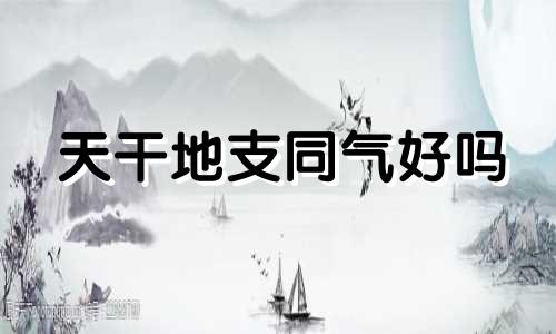 天干地支同气好吗 什么叫干支同气
