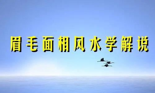 眉毛面相风水学解说 眉毛的风水相学说