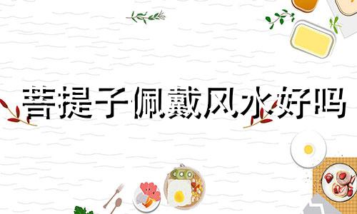 菩提子佩戴风水好吗 菩提子佩戴禁忌