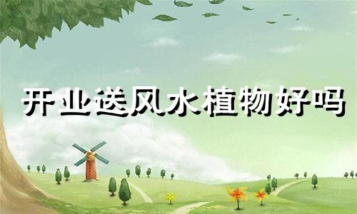 开业送风水植物好吗 开业送植物有什么讲究