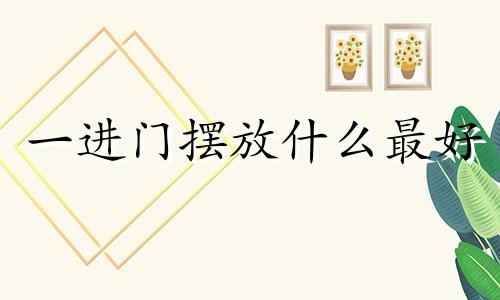 一进门摆放什么最好 一进门放什么风水好