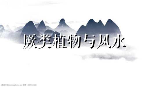 厥类植物与风水 家中养爬藤长植物与风水