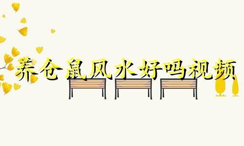 养仓鼠风水好吗视频 养仓鼠吉利吗