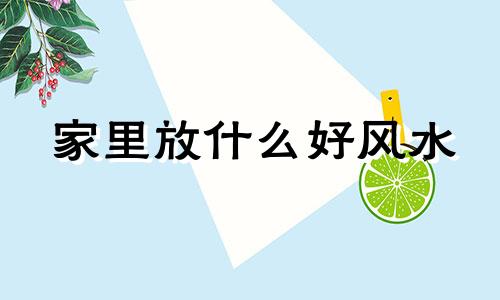 家里放什么好风水 家里摆放什么旺丁