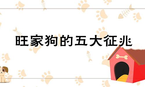 旺家狗的五大征兆 家中养狗的风水知识大全
