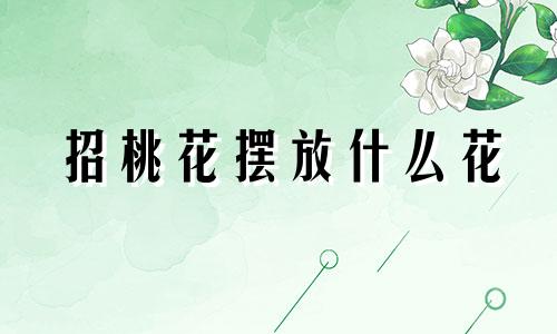 招桃花摆放什么花 招桃花适合养什么植物