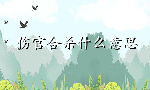 伤官合杀什么意思 伤官合杀会发生什么事