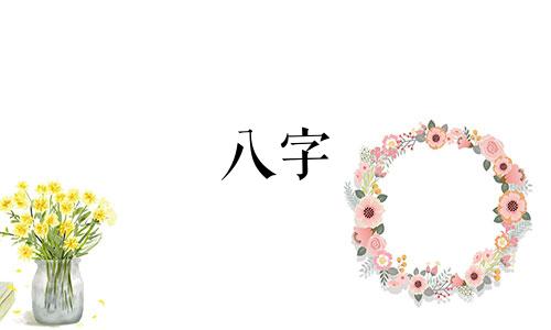 八字 辞职 辞职创业的人