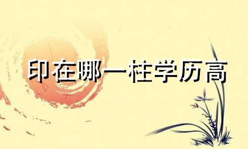 印在哪一柱学历高 从印格好不好
