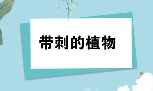 带刺的植物 风水 带刺的植物有什么寓意