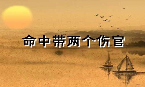 命中带两个伤官 八字中带两个伤官