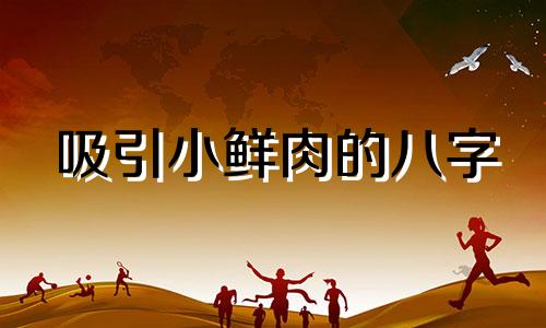 吸引小鲜肉的八字 小鲜肉性格