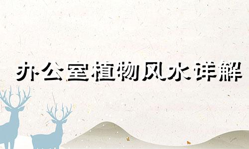 办公室植物风水详解 办公室植物摆放禁忌