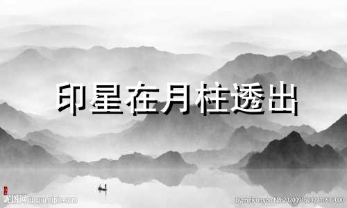印星在月柱透出 印星月柱坐衰七煞羊刃汇集