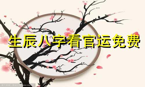 生辰八字看官运免费 生辰八字看官运图