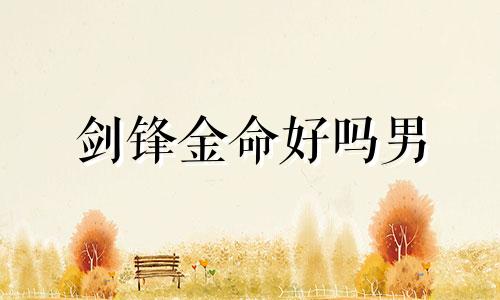 剑锋金命好吗男 剑锋金命的命运如何