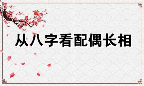 从八字看配偶长相 从八字看配偶的职业