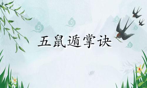 五鼠遁掌诀 五鼠遁视频讲解