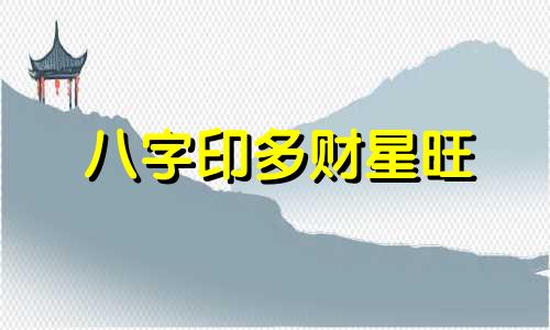 八字印多财星旺
