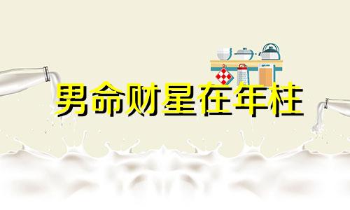 男命财星在年柱 财星在年柱上的男人