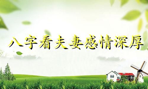 八字看夫妻感情深厚 八字看夫妻感情 个人图书馆