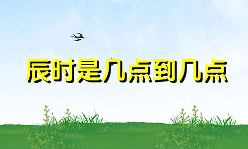 辰时是几点到几点 辰组词