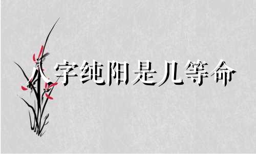 八字纯阳是几等命 纯阳八字的女人旺夫