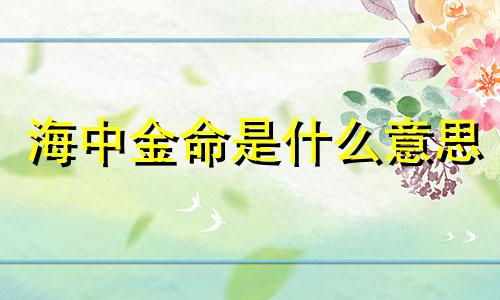 海中金命是什么意思 海中金命是几等命
