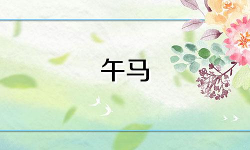 午马 