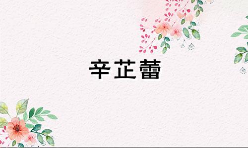 辛芷蕾 辛美尔