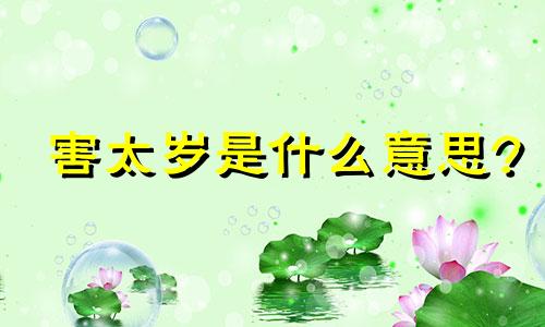 害太岁是什么意思? 2024兔害太岁是什么意思
