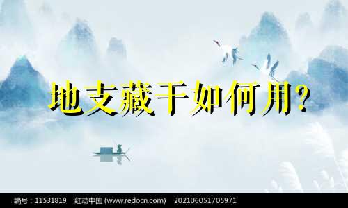 地支藏干如何用? 地支藏干怎么发挥作用