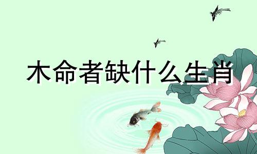 木命者缺什么生肖 木命缺什么克什么