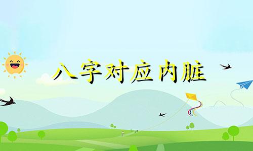 八字对应内脏 八字对应身体器官