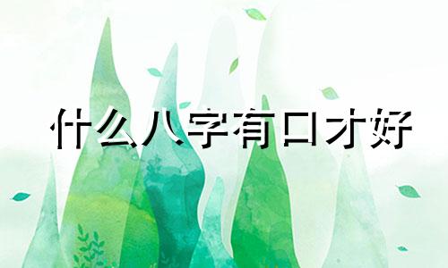 什么八字有口才好 什么八字口才好