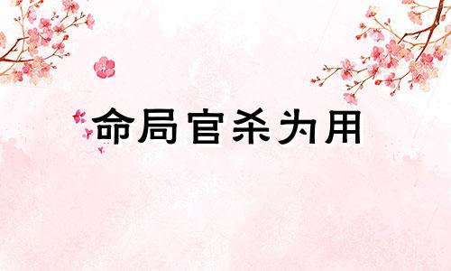 命局官杀为用 官杀为用