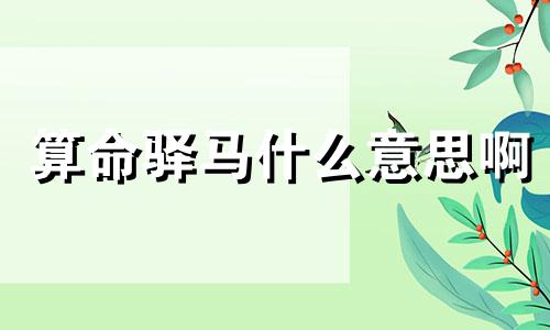 算命驿马什么意思啊 命理驿马是什么意思