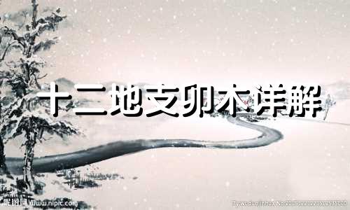 十二地支卯木详解 十二地支卯详解