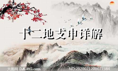 十二地支申详解 十二地支申五行属什么