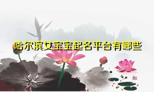 哈尔滨女宝宝起名平台有哪些