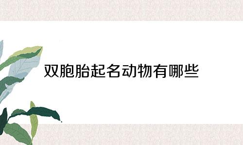 双胞胎起名动物有哪些