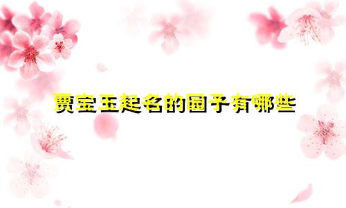 贾宝玉起名的园子有哪些