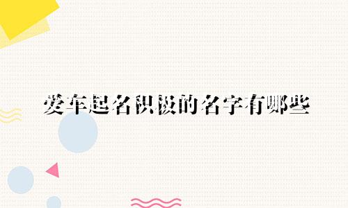 爱车起名积极的名字有哪些