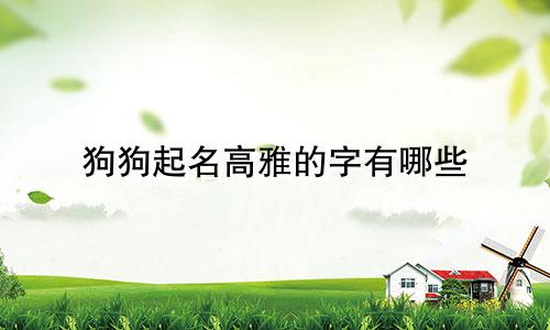 狗狗起名高雅的字有哪些